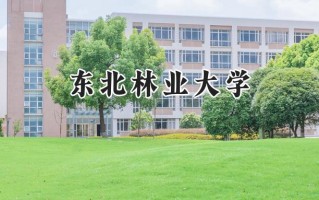 东北林业大学2024在上海录取分数线是多少？最低514分/最高526分