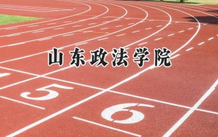 2024山东政法学院录取分数线：河南最低478分
