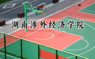 2024湖南涉外经济学院录取分数线：河南最低165分