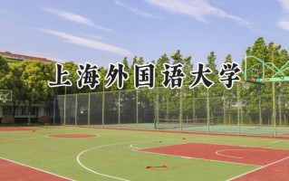 上海外国语大学2024在上海录取分数线是多少？最低550分/最高569分