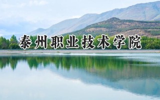 泰州职业技术学院2024在内蒙古录取分数线是多少？最低287分/最高361分