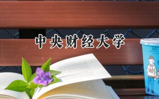 中央财经大学2024在新疆录取分数线是多少？最低512分/最高577分