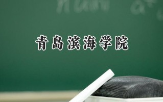 青岛滨海学院2024在内蒙古录取分数线是多少？最低366分/最高413分