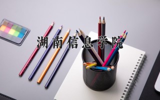 2024年湖南信息学院录取分数线，河北最低309分