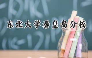 2024东北大学秦皇岛分校录取分数线：新疆最低496分