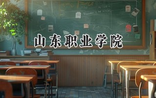 2024山东职业学院录取分数线：河南最低388分