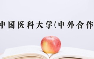 2024年中国医科大学(中外合作)录取分数线，内蒙古最低489分