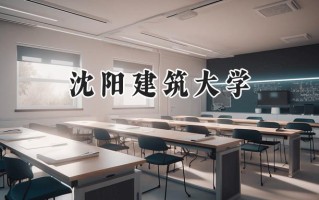 2024沈阳建筑大学录取分数线：新疆最低393分