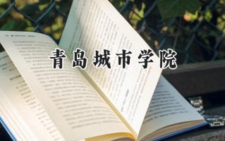 青岛城市学院2024在江苏录取分数线是多少？最低464分/最高503分