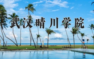 2024年武汉晴川学院录取分数线，河北最低316分
