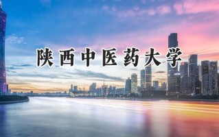 陕西中医药大学2024在山东录取分数线是多少？最低486分/最高575分