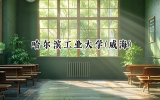 哈尔滨工业大学(威海)2024在上海录取分数线是多少？最低573分/最高574分