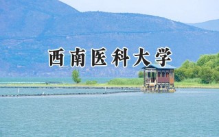 2024西南医科大学录取分数线：新疆最低480分