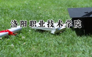 2024洛阳职业技术学院录取分数线：宁夏最低341分
