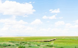2024年211大学在河南录取分数线（2025届填报参考）