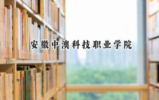 2024安徽中澳科技职业学院录取分数线：河南最低298分
