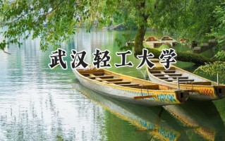 武汉轻工大学2024在上海录取分数线是多少？最低436分/最高438分