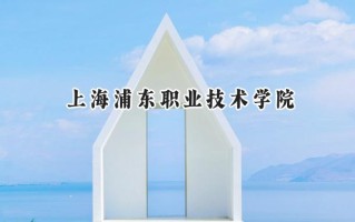 2024上海浦东职业技术学院录取分数线：河南最低353分