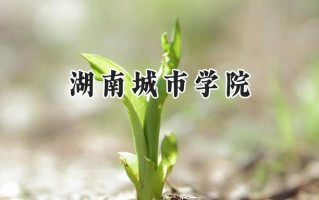 2024湖南城市学院录取分数线：陕西最低450分