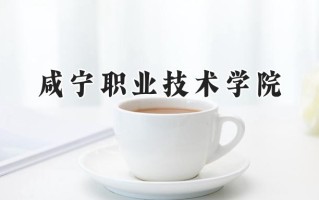 2024咸宁职业技术学院录取分数线：河南最低190分