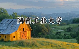 2024湖南工业大学录取分数线：新疆最低390分
