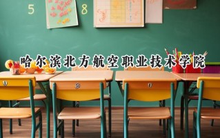 2024哈尔滨北方航空职业技术学院录取分数线：陕西最低225分