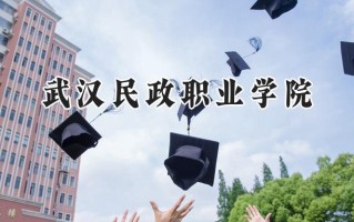 武汉民政职业学院2024在浙江录取分数线是多少？最低398分/最高548分