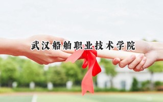 2024武汉船舶职业技术学院录取分数线：江苏最低315分