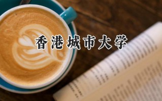 2024香港城市大学录取分数线：江苏最低621分