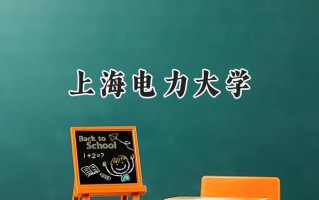 上海电力大学2024在山东录取分数线是多少？最低574分/最高603分
