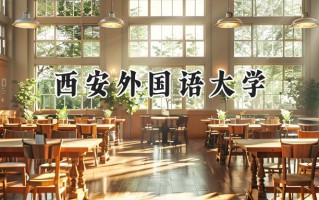 西安外国语大学2024在新疆录取分数线是多少？最低421分/最高496分