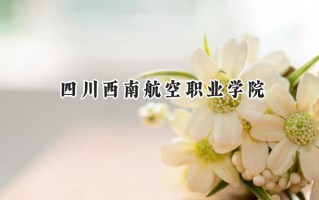 2024四川西南航空职业学院录取分数线：陕西最低301分