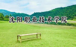 沈阳职业技术学院2024在青海录取分数线是多少？最低245分/最高263分