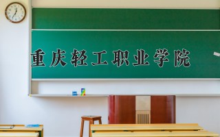2024年重庆轻工职业学院录取分数线，河北最低259分
