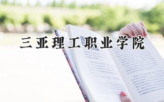 2024三亚理工职业学院录取分数线：江苏最低292分