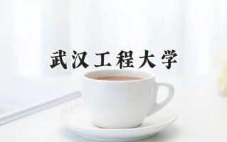 2024武汉工程大学录取分数线：陕西最低517分