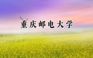 2024重庆邮电大学录取分数线：陕西最低558分