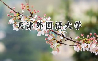 天津外国语大学2024在内蒙古录取分数线是多少？最低479分/最高558分
