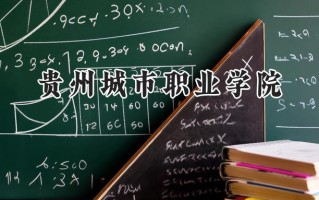 贵州城市职业学院2024在山东录取分数线是多少？最低242分/最高271分
