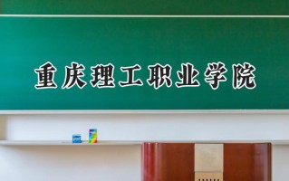 重庆理工职业学院2024在浙江录取分数线是多少？最低269分/最高400分