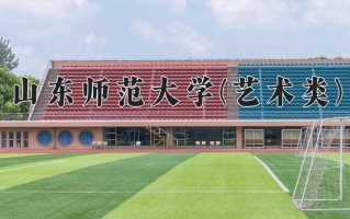 2024年山东师范大学(艺术类)录取分数线，河北最低541分