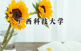 2024广西科技大学录取分数线：江苏最低501分