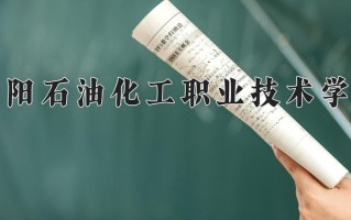2024年濮阳石油化工职业技术学院录取分数线，河北最低389分