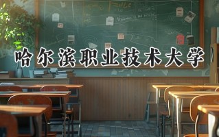哈尔滨职业技术大学2024在青海录取分数线是多少？最低266分/最高328分