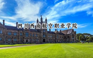 2024四川西南航空职业学院录取分数线：宁夏最低283分