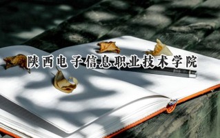 2024陕西电子信息职业技术学院录取分数线：陕西最低312分
