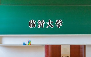 2024临沂大学录取分数线：河南最低512分