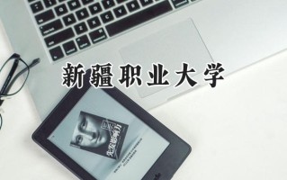 新疆职业大学2024在江苏录取分数线是多少？最低302分/最高432分