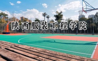 陕西服装工程学院2024在山东录取分数线是多少？最低295分/最高488分