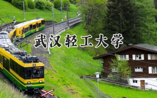2024武汉轻工大学录取分数线：陕西最低472分